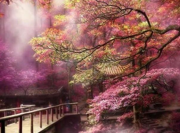 媒人给介绍了以后，对方多久开始联系游戏画面